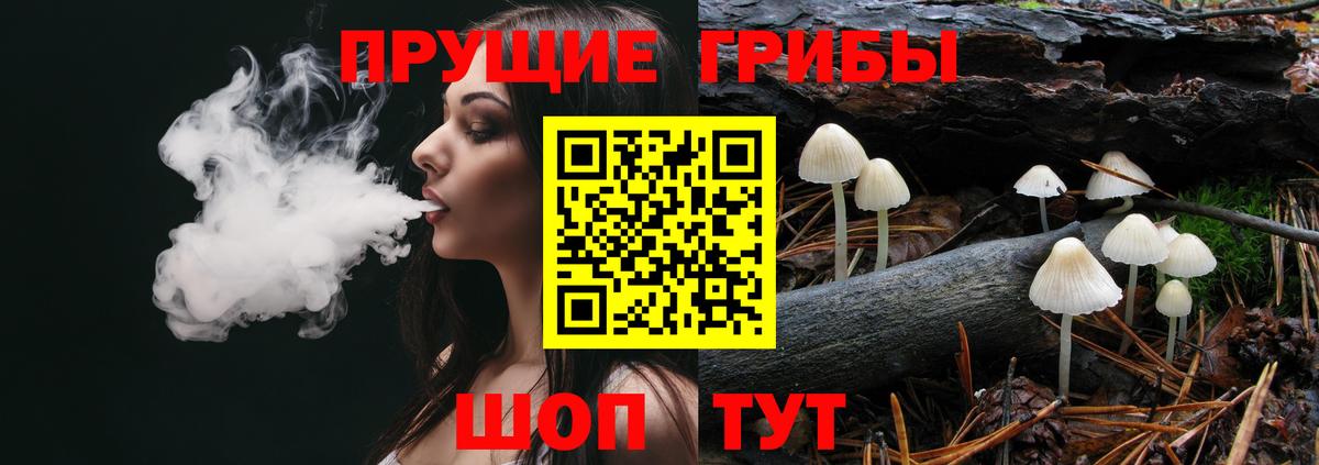 Псилоцибиновые грибы Psilocybe  Псилоцибиновые грибы GOLDEN TEACHER  Новокубанск  Вход с VPN 